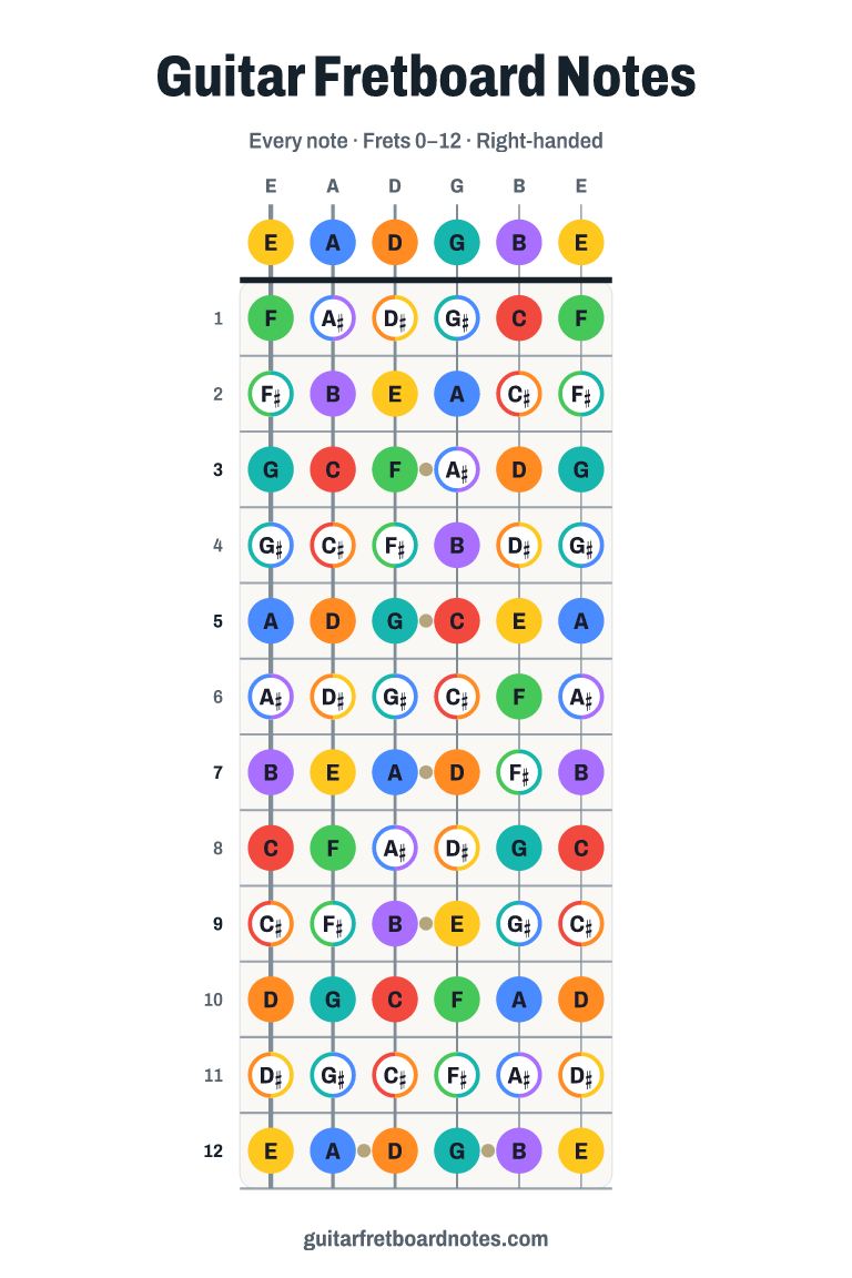 Tall guitar fretboard notes chart: an upright neck from the open strings to fret 12 with every note in color.